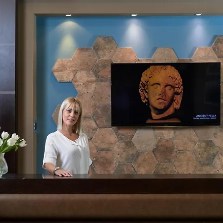 Maison ハルキドナ