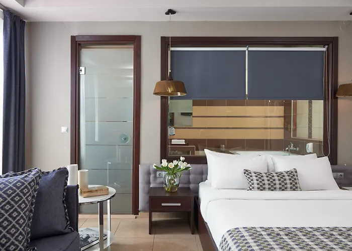 Maison Hotel 3*